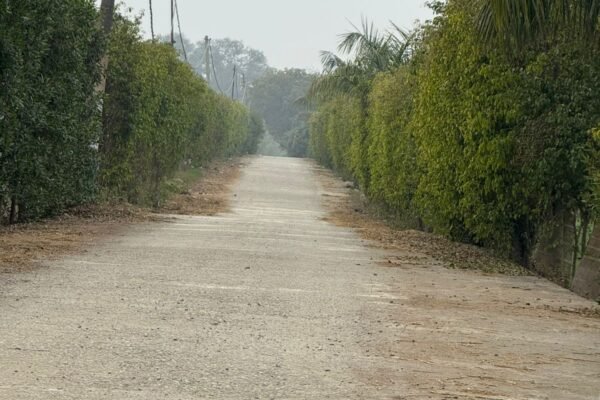 WhatsApp Image 2026-01-02 at 2.29.18 PM (2) WhatsApp Image 2026-01-02 at 2.29.18 PM (2)