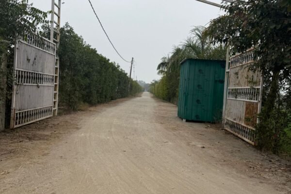 WhatsApp Image 2026-01-02 at 2.29.19 PM WhatsApp Image 2026-01-02 at 2.29.19 PM